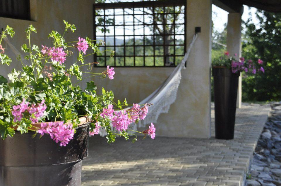 Premiata Osteria Dei Fiori Bed & Breakfast Cortiglione ห้อง รูปภาพ