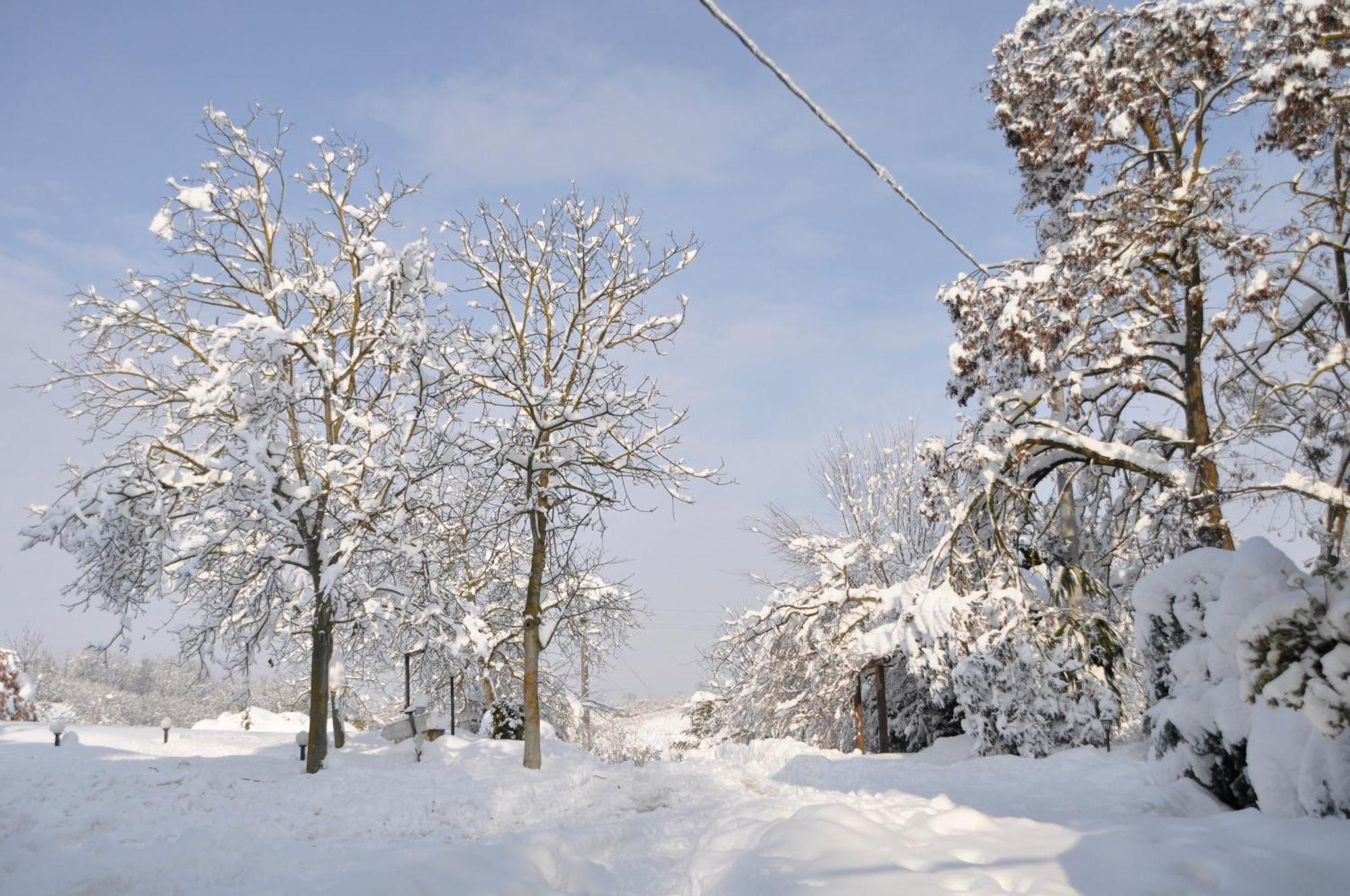Premiata Osteria Dei Fiori Bed & Breakfast Cortiglione ภายนอก รูปภาพ