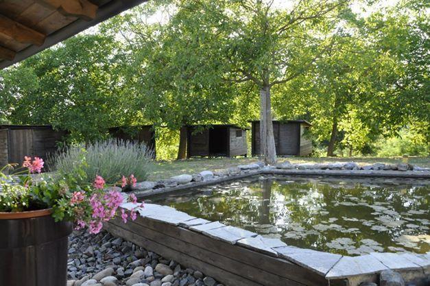 Premiata Osteria Dei Fiori Bed & Breakfast Cortiglione ห้อง รูปภาพ